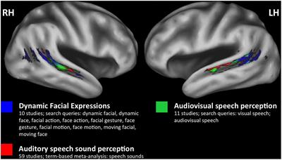 Auditory, Visual and Audiovisual Speech Processing Streams in Superior Temporal Sulcus